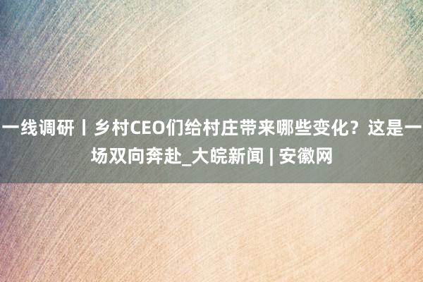 一线调研丨乡村CEO们给村庄带来哪些变化？这是一场双向奔赴_大皖新闻 | 安徽网