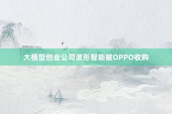 大模型创业公司波形智能被OPPO收购