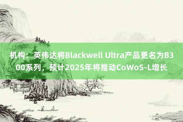 机构：英伟达将Blackwell Ultra产品更名为B300系列，预计2025年将推动CoWoS-L增长