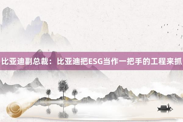 比亚迪副总裁：比亚迪把ESG当作一把手的工程来抓