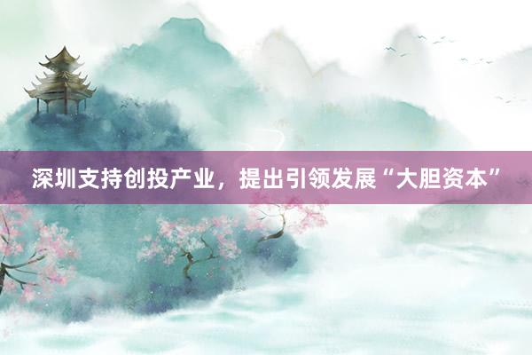 深圳支持创投产业，提出引领发展“大胆资本”