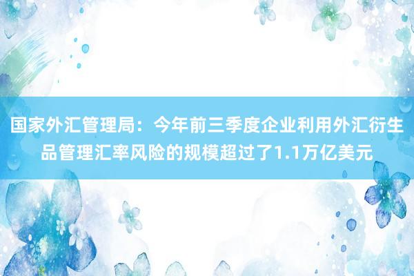 国家外汇管理局：今年前三季度企业利用外汇衍生品管理汇率风险的规模超过了1.1万亿美元