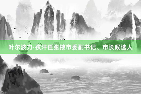 叶尔波力·孜汗任张掖市委副书记、市长候选人