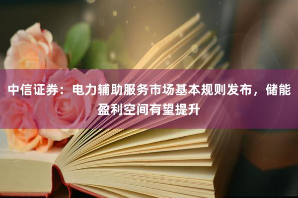 中信证券：电力辅助服务市场基本规则发布，储能盈利空间有望提升