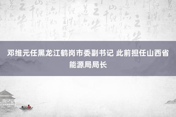 邓维元任黑龙江鹤岗市委副书记 此前担任山西省能源局局长