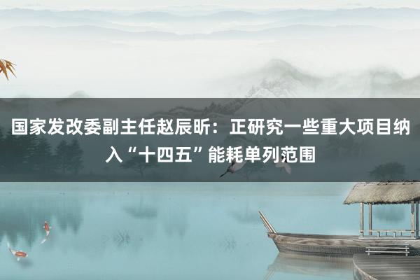 国家发改委副主任赵辰昕：正研究一些重大项目纳入“十四五”能耗单列范围