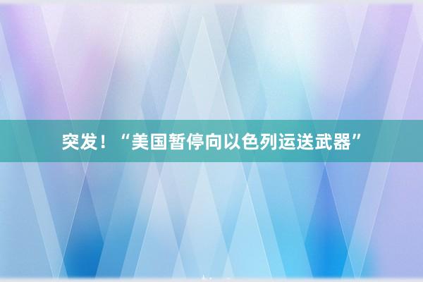 突发！“美国暂停向以色列运送武器”