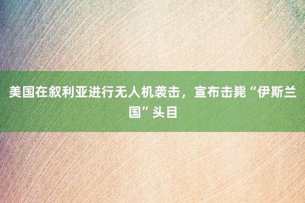 美国在叙利亚进行无人机袭击，宣布击毙“伊斯兰国”头目