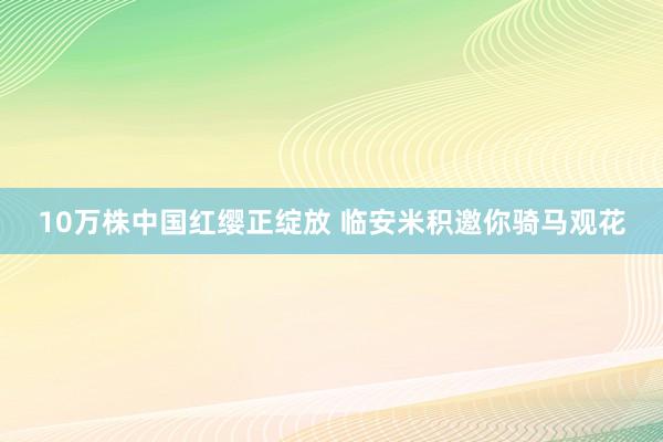 10万株中国红缨正绽放 临安米积邀你骑马观花