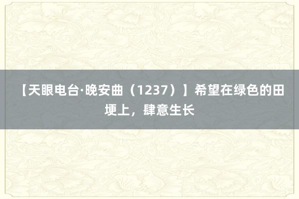 【天眼电台·晚安曲（1237）】希望在绿色的田埂上，肆意生长