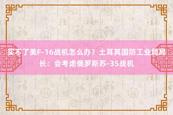 买不了美F-16战机怎么办？土耳其国防工业局局长：会考虑俄罗斯苏-35战机