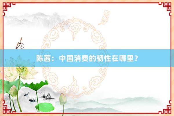 陈茜：中国消费的韧性在哪里？