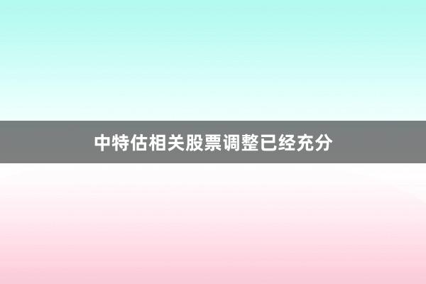 中特估相关股票调整已经充分