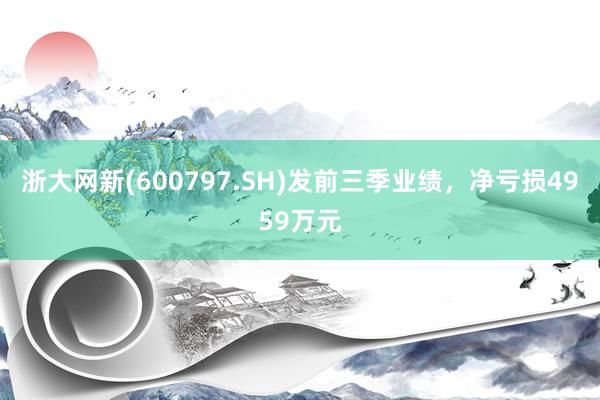 浙大网新(600797.SH)发前三季业绩，净亏损4959万元