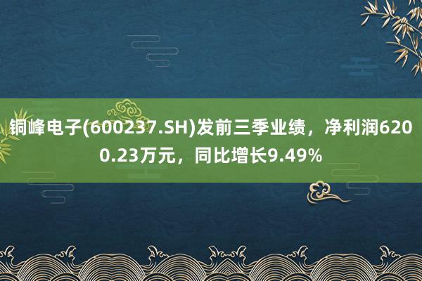 铜峰电子(600237.SH)发前三季业绩，净利润6200.23万元，同比增长9.49%