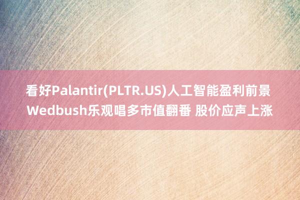 看好Palantir(PLTR.US)人工智能盈利前景 Wedbush乐观唱多市值翻番 股价应声上涨