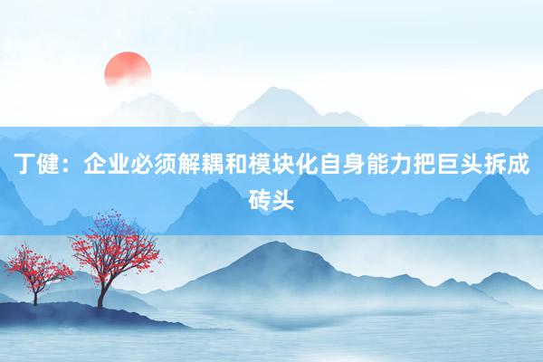 丁健：企业必须解耦和模块化自身能力把巨头拆成砖头