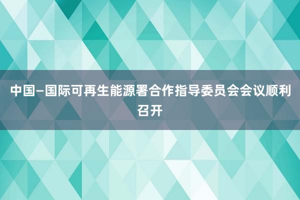 中国—国际可再生能源署合作指导委员会会议顺利召开