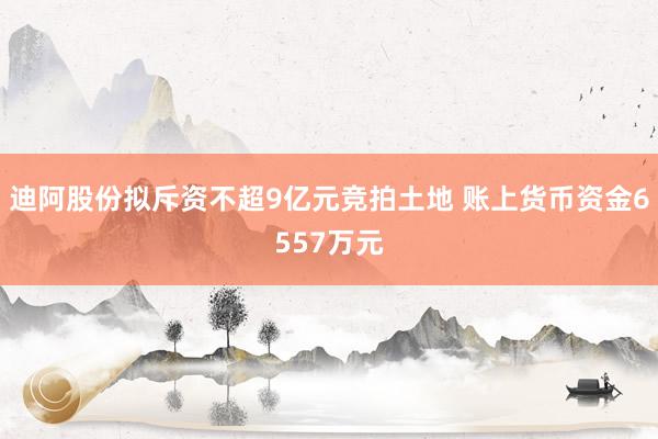 迪阿股份拟斥资不超9亿元竞拍土地 账上货币资金6557万元