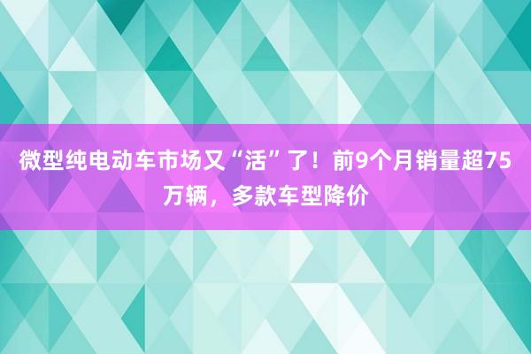 微型纯电动车市场又“活”了！前9个月销量超75万辆，多款车型降价