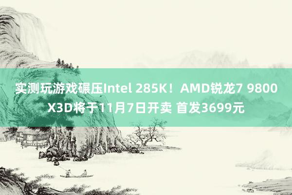 实测玩游戏碾压Intel 285K！AMD锐龙7 9800X3D将于11月7日开卖 首发3699元