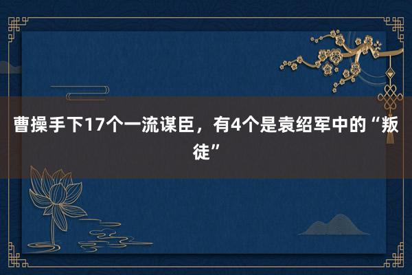 曹操手下17个一流谋臣，有4个是袁绍军中的“叛徒”