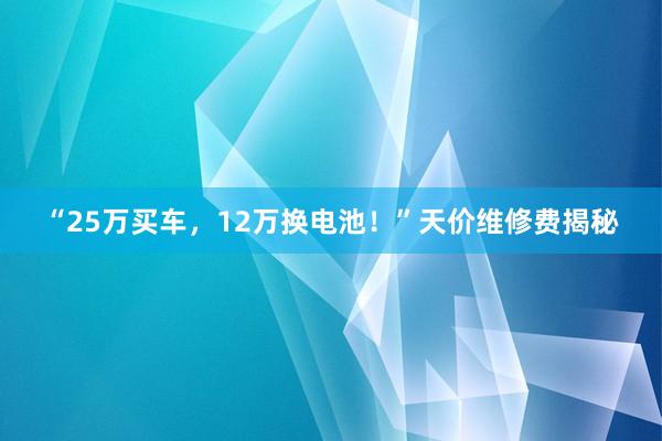 “25万买车，12万换电池！”天价维修费揭秘