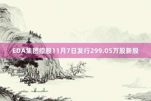 EDA集团控股11月7日发行299.05万股新股