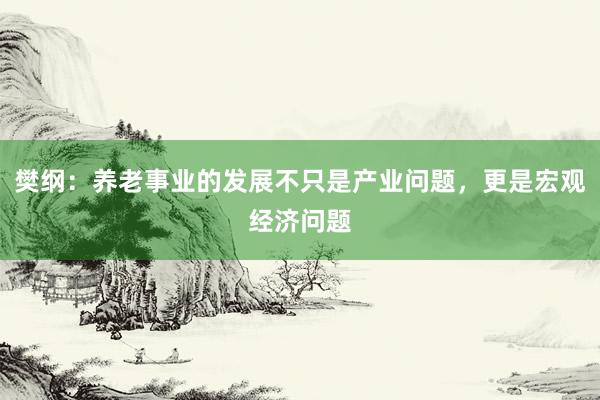 樊纲：养老事业的发展不只是产业问题，更是宏观经济问题