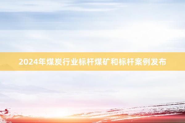 2024年煤炭行业标杆煤矿和标杆案例发布