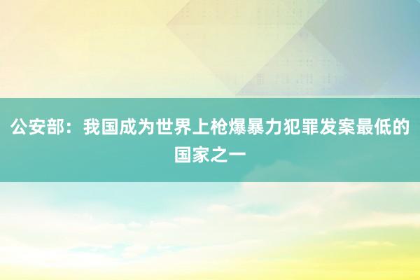 公安部：我国成为世界上枪爆暴力犯罪发案最低的国家之一