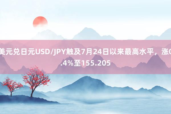 美元兑日元USD/JPY触及7月24日以来最高水平，涨0.4%至155.205