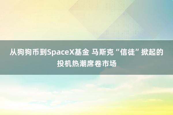 从狗狗币到SpaceX基金 马斯克“信徒”掀起的投机热潮席卷市场