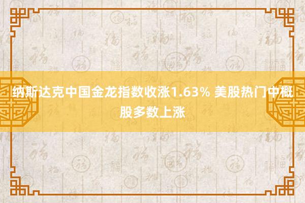 纳斯达克中国金龙指数收涨1.63% 美股热门中概股多数上涨