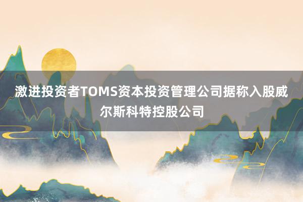 激进投资者TOMS资本投资管理公司据称入股威尔斯科特控股公司