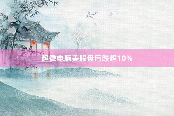 超微电脑美股盘后跌超10%