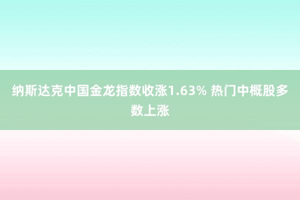 纳斯达克中国金龙指数收涨1.63% 热门中概股多数上涨