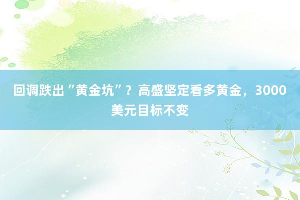 回调跌出“黄金坑”？高盛坚定看多黄金，3000美元目标不变