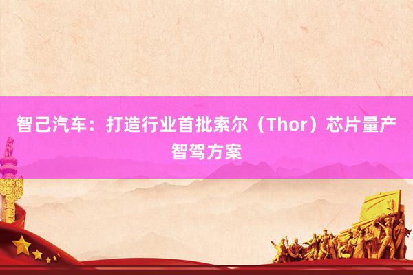 智己汽车：打造行业首批索尔（Thor）芯片量产智驾方案