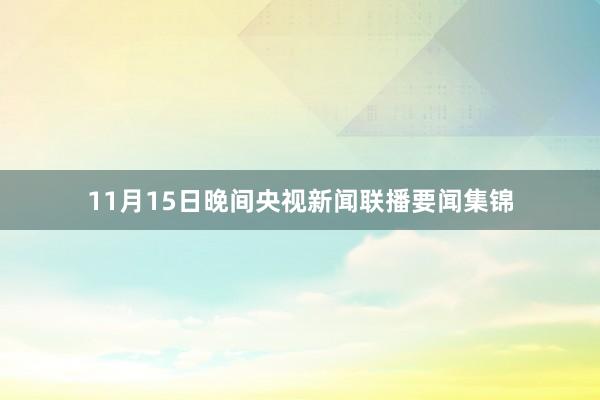 11月15日晚间央视新闻联播要闻集锦