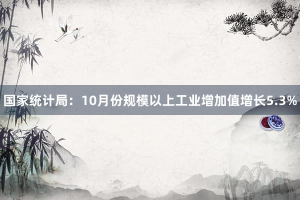 国家统计局：10月份规模以上工业增加值增长5.3%