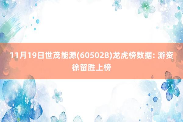 11月19日世茂能源(605028)龙虎榜数据: 游资徐留胜上榜