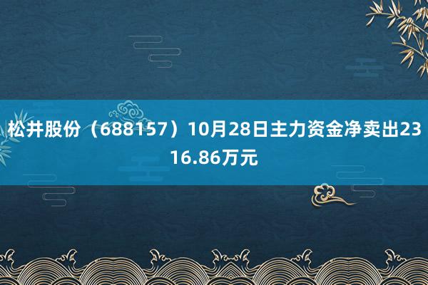 松井股份（688157）10月28日主力资金净卖出2316.86万元