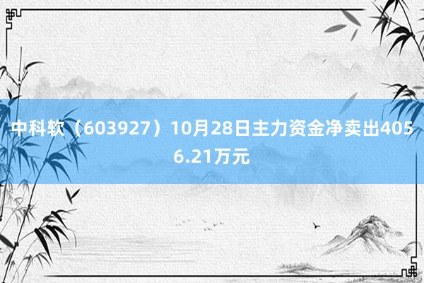 中科软（603927）10月28日主力资金净卖出4056.21万元