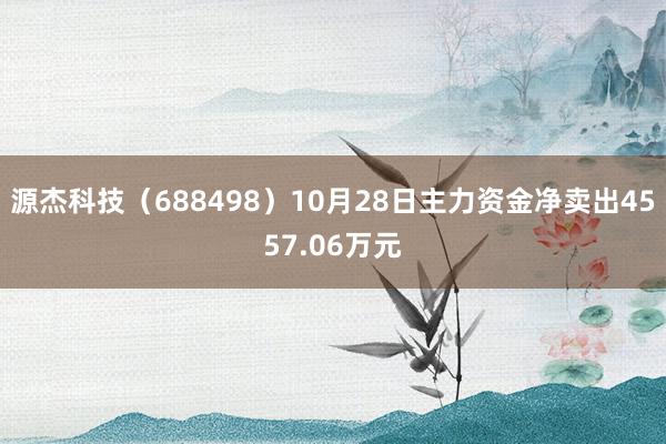 源杰科技（688498）10月28日主力资金净卖出4557.06万元