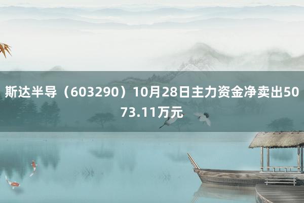 斯达半导（603290）10月28日主力资金净卖出5073.11万元