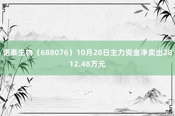 诺泰生物（688076）10月28日主力资金净卖出2812.48万元