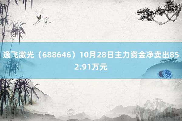 逸飞激光（688646）10月28日主力资金净卖出852.91万元