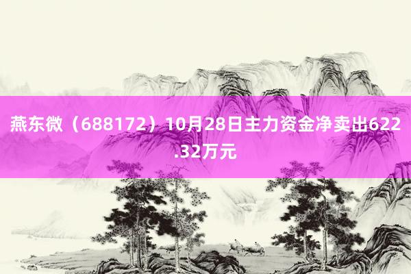 燕东微（688172）10月28日主力资金净卖出622.32万元