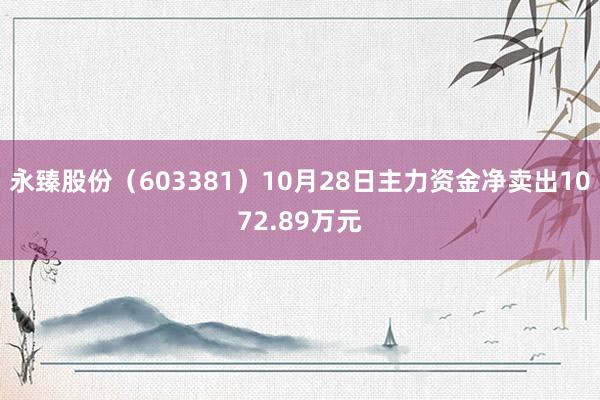 永臻股份（603381）10月28日主力资金净卖出1072.89万元